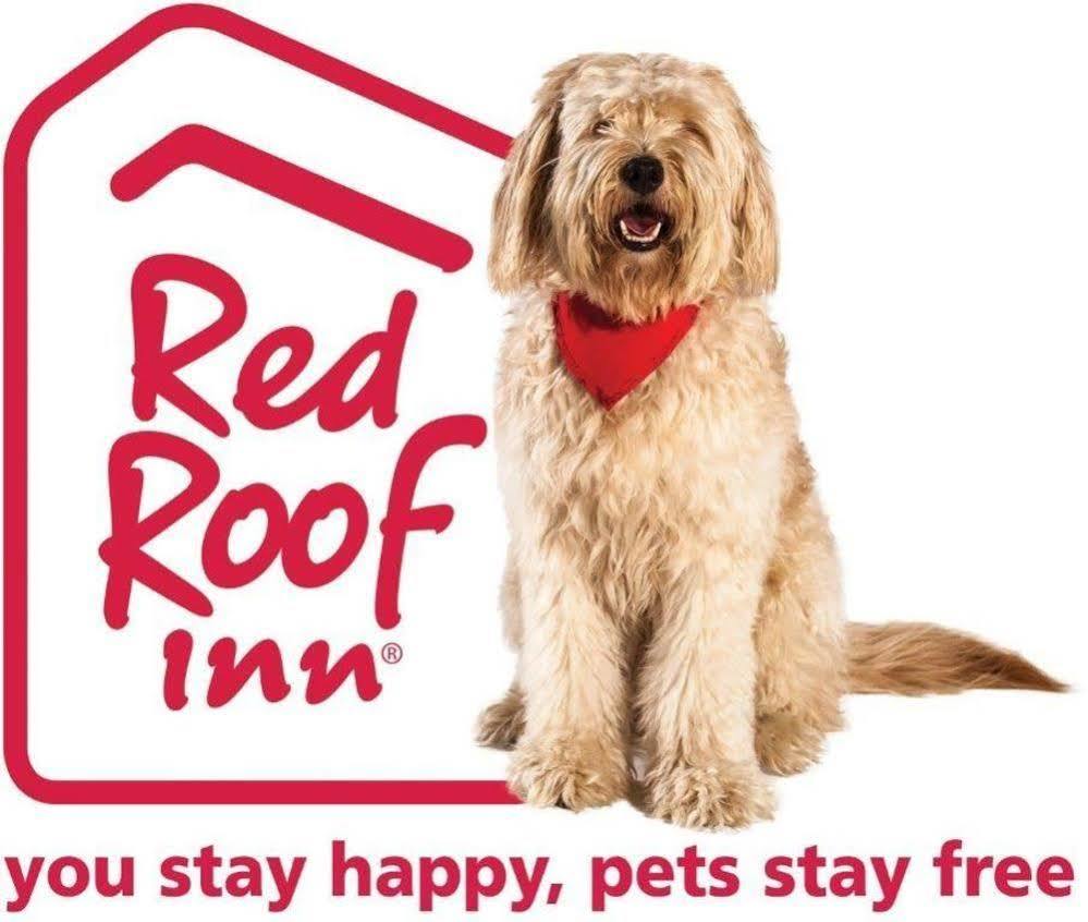 Red Roof Inn Santa Ana Exterior photo